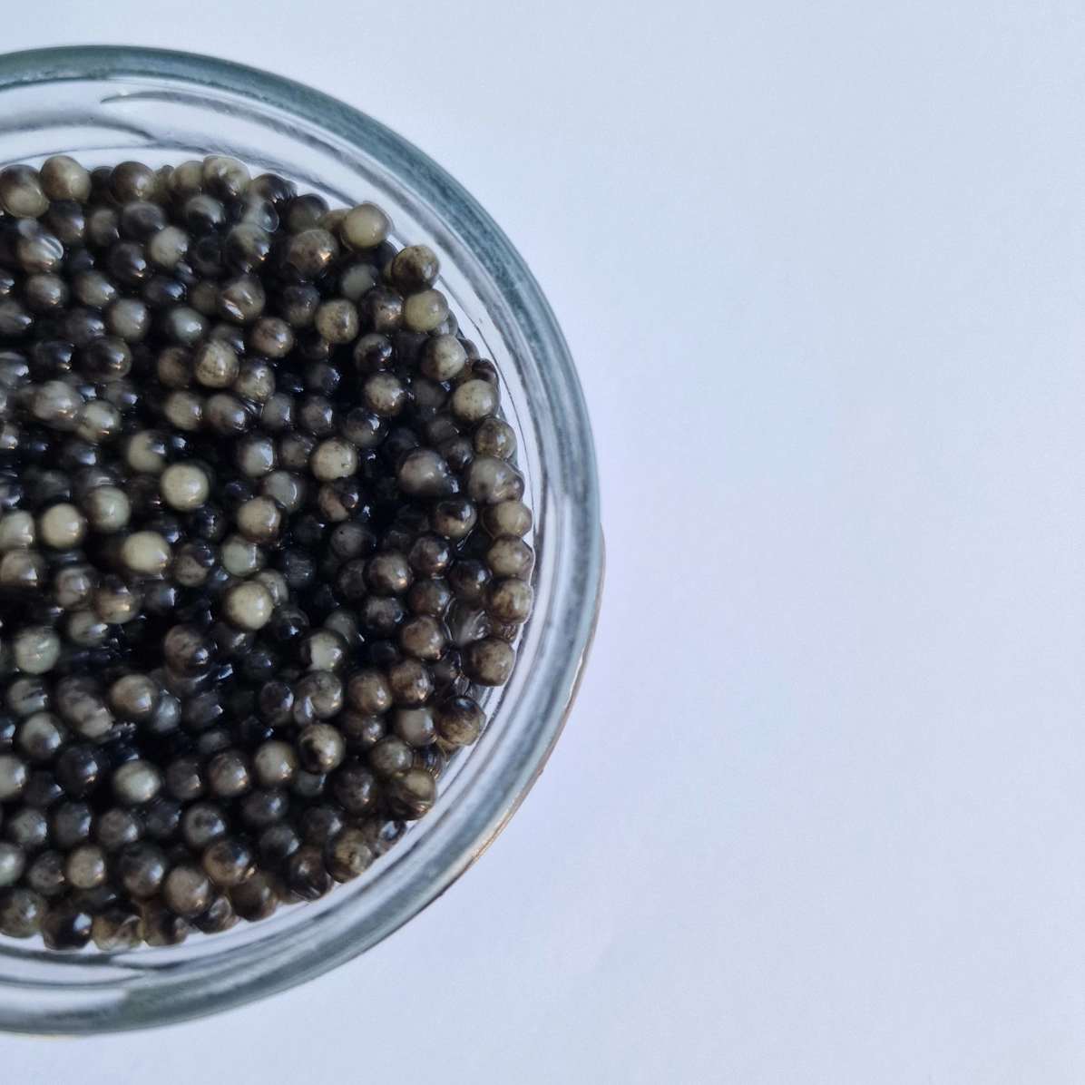 sterlet caviar